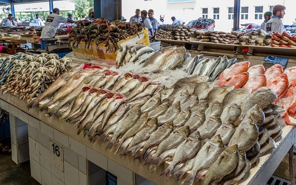 أسعار الأسماك اليوم الخميس