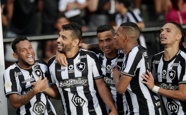 بوتافوجو متصدر الدوري البرازيلي