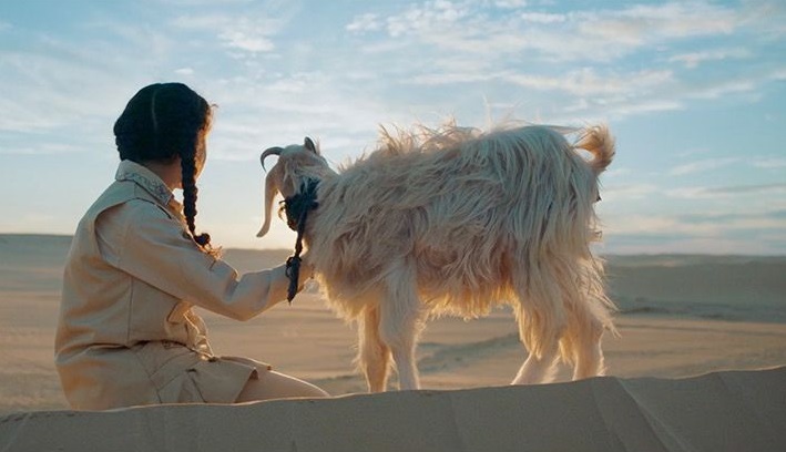The Goat أول فيلم إنتاج مصري يشارك في مسابقة Alice Nella Citta