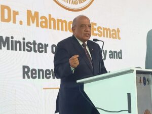 وزير الكهرباء