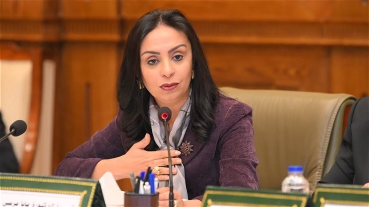 التضامن الاجتماعي