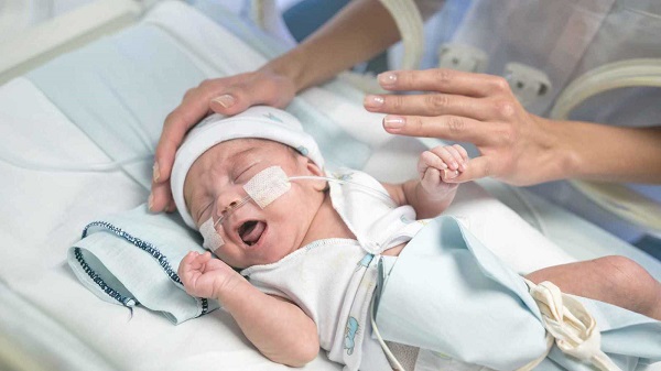 الولادات المبكرة