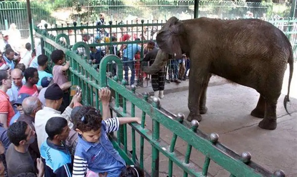 حديقة حيوان