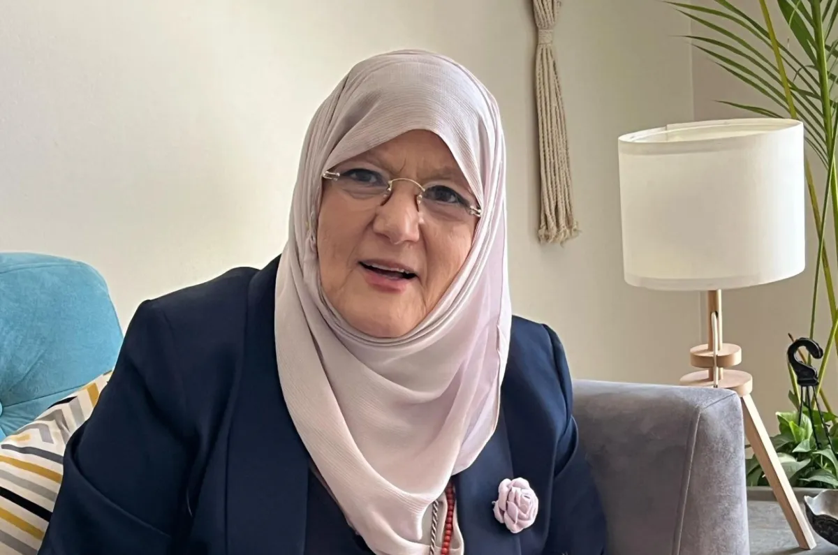 شمس البارودي