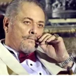 محمود عبد العزيز