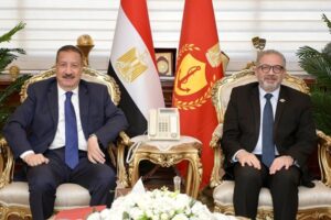 التأمين الصحي