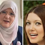 شمس البارودي