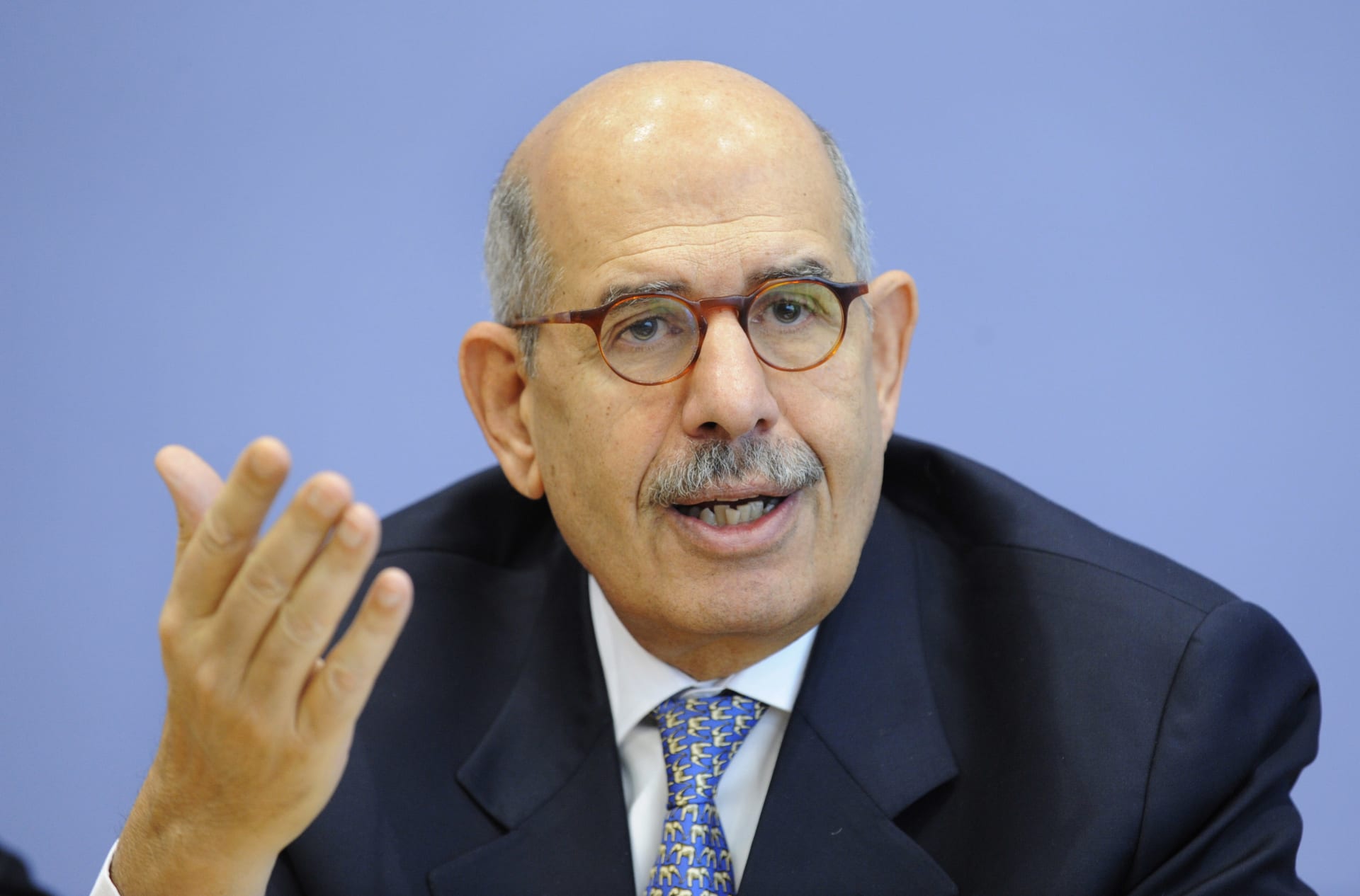 محمد البردعي